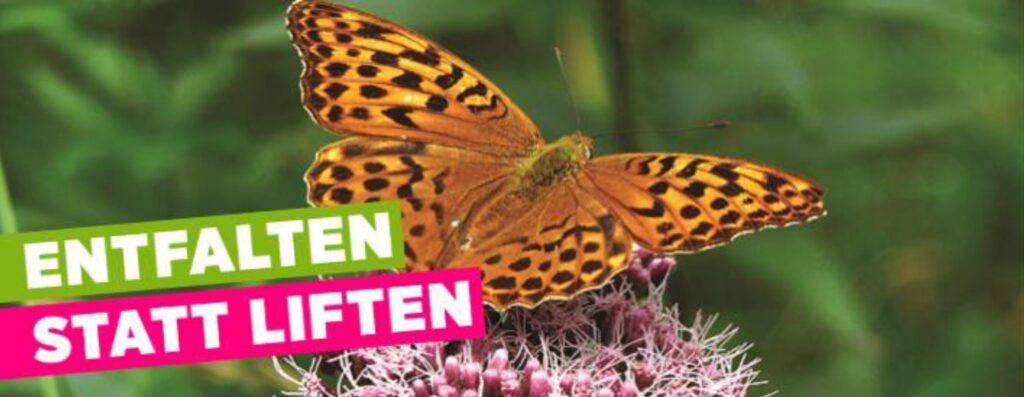 Sujet - entfalten statt liften